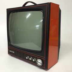 TELEVISION - Orange Thorn 44cm W